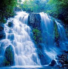 Nature Scenery Decorate With A Wall Mural Photowall