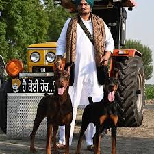 Kariyerine ninja tarafından söylenen şarkının sözleriyle ve şarkı kariyeriyle duet şarkısıyla başladı. Sidhu Moose Wala Tractor Photo 5911 Tractor Images Statuspb