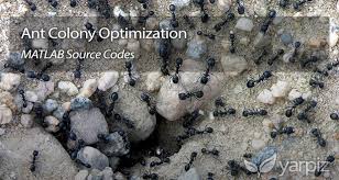 We'll keep you updated with additional codes once they are released. Ant Colony Optimization In Matlab Yarpiz