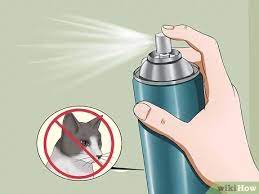 Try to eliminate the factors that are attracting cats in the first place. How To Keep Cats Away 9 Steps With Pictures Wikihow