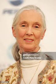 1,205 Jane Kramer Photos & High Res Pictures