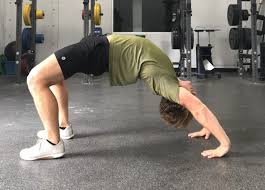 Morning Stretch Routine Wake Up Like A Dog Invictus Fitness In 2020 Morning Stretches Routine Stretch Routine Morning Stretches