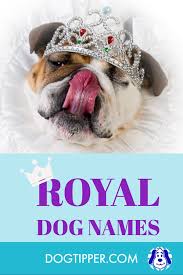 Finding the right inspiration can be tricky, but you will definitely find energetic and friendly name for your dog. Royal Dog Names