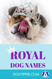 50.alessandra (italian origin) name meaning protector. Royal Dog Names