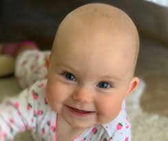 Rex Ross Website Home Page