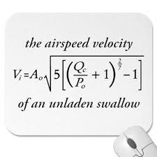 Airspeed Velocity Of An Unladen Swallow Unladen Swallow Monty Python Diy Projects Gifts