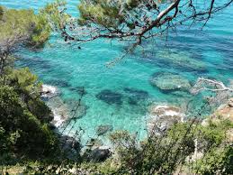 Le domaine du rayol est situé au rayol canadel sur mer, au pied du massif des maures plongeant dans la mer et face aux iles d'hyères, dans le var le domaine du rayol aussi appelé le jardin des méditerranées est un espace naturel protégé de 20 ha, acquis en 1989 par le conservatoire pour le. Crique Des Jardins Du Rayol Canadel Eau Turquoise Cote D Azur France Cote D Azur Crique Beaux Endroits