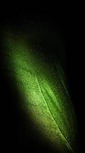 Samsung Galaxy Fold Leaf Green Wallpaper Samsung Wallpaper Green Wallpaper Wallpaper