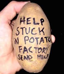 When did potato parcel go on shark tank? Potato Parcel Handwritten Potato Messages Shark Tank Products