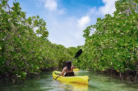Located on upper biscayne bay, in the middle of the busy miami metropolitan area, oleta river state park is an amazing getaway, offering a variety of outdoor recreational activities. Oleta River State Park Carillon Miami Wellness Resort
