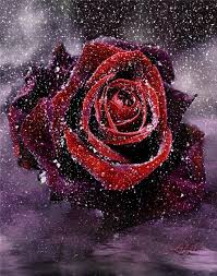 cicekler cicek gifleri harika guller isil isil gul resimleri cicek gifleri harika cicek gifleri isiltili cic diamond painting cross paintings diamond paint