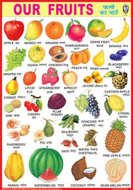Indian Book Depot Educational Charts Education Fruit Nursery Teacher