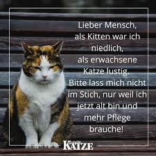 Kündigung vorlage, lebenslauf vorlage, bewerbung vorlage und vieles mehr zum gratis downloaden. 45rkspqaaeb9rm