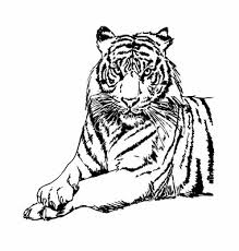 You can edit any of drawings via our online image editor before downloading. Tiger Black And White Tigers Clipart And Stock Vector By Bigsun Image 5 Wikiclipart