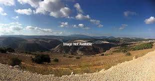 Israel Tour Guide Avner Cohen Private Tour in israel