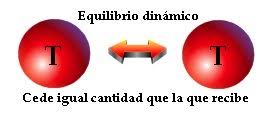Resultado de imagen para equilibrio termico