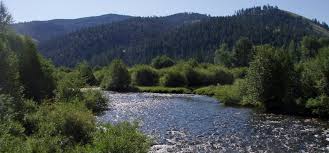 Check spelling or type a new query. Montana Wild Trout Streams