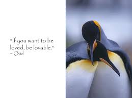 Maybe you would like to learn more about one of these? Love Quotes