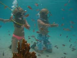 Helm Duiken Curacao Willemstad 2020 All You Need To Know Before You Go With Photos Tripadvisor