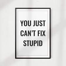 We did not find results for: You Just Can T Fix Stupid 5 X 7 Unframed Print Home Decor Quote Wall Art Walmart Com Walmart Com