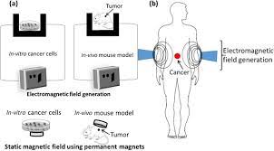 A Review On The Use Of Magnetic Fields And Ultrasound For Non Invasive Cancer Treatment Sciencedirect