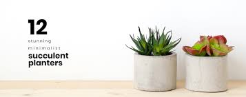 Generally, plants do not like soggy roots. 12 Stunning Minimalist Succulent Planters