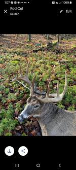 Me and my brothers had a good year in 2C