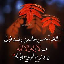 Instagram Post By كنوز التراث الإسلامي Jun 15 2020 At 2 01pm Utc Quotes For Book Lovers Islamic Love Quotes Islamic Pictures