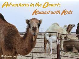 Free delivery and returns on ebay plus items for plus members. Adventures In The Desert Kuwait With Kids Pure Wander