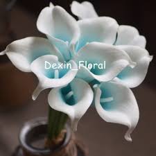 Have the beauty of fresh, but without the hassle! Turquoise Picasso Calla Lily Real Touch Calla Lilies For Wedding Bouquets Centerpieces Artificial Calla Lily Real Touch Calla Lilies Calla Lilyreal Touch Calla Aliexpress