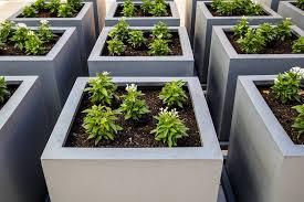 All you need are the right plants to create a beautiful display. 6 Top Reasons To Use Modern Planter Boxes For Gardening
