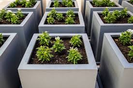 But this time i used cans and i think it's a great way to recycle. Need A New Hobby Try Diy Concrete Planters Blogging Hub