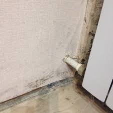 Koltuktaki rutubet kokusunu giderirken karbonat ve limon kullanmak oldukça etkili bir yöntemdir. Evdeki Rutubet Kokusundan Nasil Kurtulurum Dolaptan Rutubet Kokusu Evde Ayakkabilarda Kuf Kokusu Nasil Giderilir