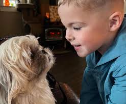 Do Kenji's siblings or cousins sleep in a similar way?