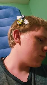 How to Make A Temporary Queen Bee Clip