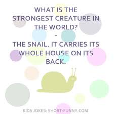 If you think you're the only one trolling the internet for some epic kid's jokes, you're not alone. Kids Jokes Best Jokes For Children Short Funny Com