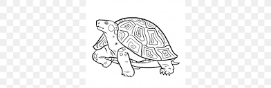 It is the heaviest turtle. Alligator Snapping Turtle Drawing Reptile Pencil Png 302x269px Turtle Alligator Snapping Turtle Area Art Black And