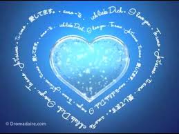 Votre recherche de dictons : Carte D Amour Dromadaire Je T Aime Dans Toutes Les Langues By Dromadairevideo