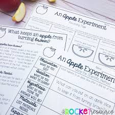 Apple Activities for Elementary - The Rocket Resource