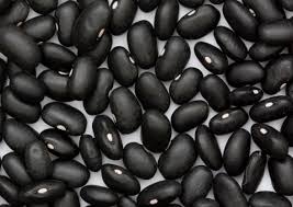 Black turtle beans are native to mexico, and have long been a part of the cuisines of central and south. Black Beans Gardening In Backyard Tips Ideas Gardening Tips