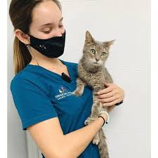 Search for other veterinary specialty services in imperial beach on the real yellow pages®. Imperial Point Animal Hospital Delray Beach Fl