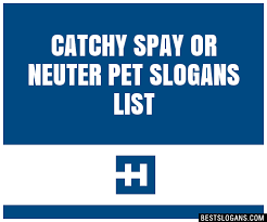 Jul 25, 2021 · great spay neuter slogan ideas inc list of the top sayings, phrases, taglines & names with picture examples. 18 Beautiful Funny Dog Taglines Funny Animals
