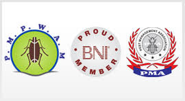 Bed bug pest control toronto is the best way to deal with such insects. Bed Bugs Treatment In Mumbai Bed Bugs Treatment