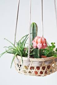 Houseplants of all shapes and sizes can brighten a room, help improve air quality and generally take a look at these 10 ideas for potting, grouping and displaying your houseplants in ways that will. Top 9 Ideas To Display Indoor Plants L Stylish Indoor Plants