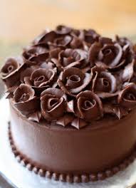 My Aunt S Birthday Cake Flies To Florida Chocolate Cake Decoration Cake Desserts Chocolate