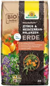 images?q=tbn:ANd9GcTGEF6hzdz1OqQ_XMqxHj_c0EJNhLqcr0iksg&s