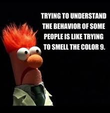 Beeker Meme Beaker Is Always Right Beaker Quotes Sotruelol Memediary Mi Humor Funny Quotes Haha Funny