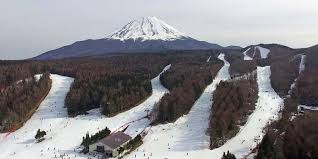 Day Trip From Tokyo Mount Fuji