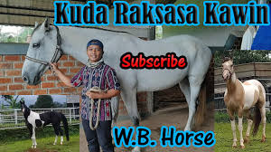 Koni klidesdale krikcie horse kuda asli scotlandia horse info cavalo penjelasan kuda. Download Kuda Kawin Dengan Babi Horse Mating Pig Daily Movies Hub