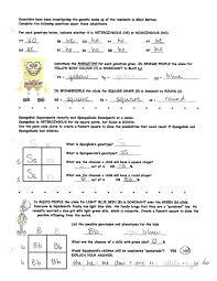 Some of the worksheets displayed are work monohybrid crosses, practice with monohybrid punnett squares, punnett squares dihybrid crosses, punnett squares answer key, genetics work, amoeba sisters. Blog Posts Ms Mclarty S Classes